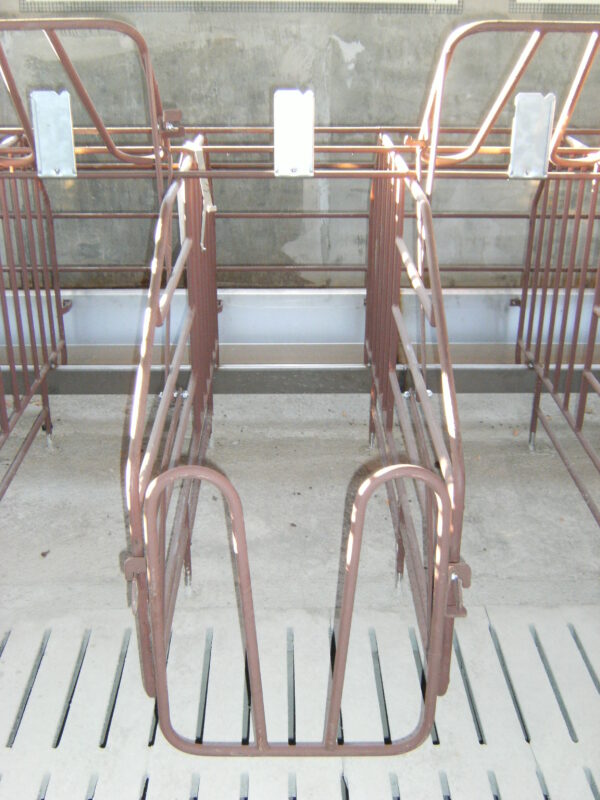 Gestation boxes for sows G3 model - Image 4