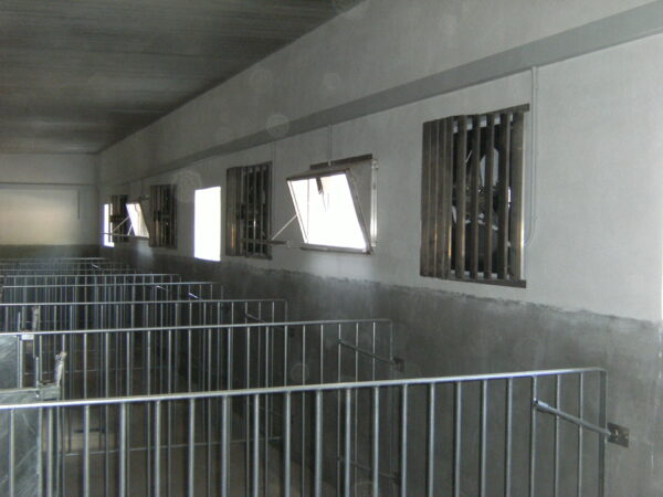 Fans - Image 2