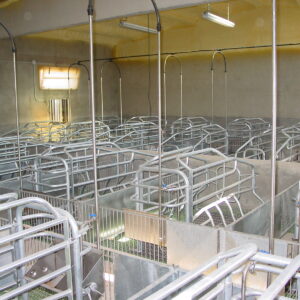 Farrowing cages